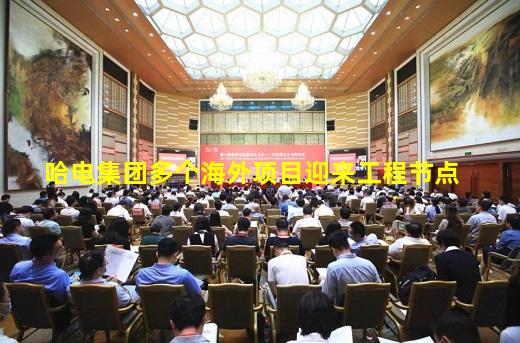 kaiyun官方网站-哈电集团多个海外项目迎来工程节点