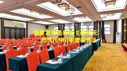 kaiyun官方网站-壳牌发布最新版《液化天然气(LNG)前景报告》